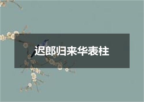迟郎归来华表柱