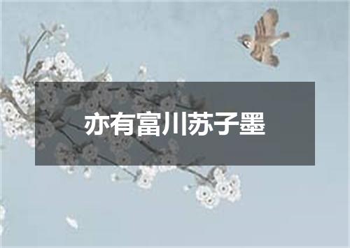 亦有富川苏子墨