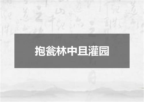 抱瓮林中且灌园