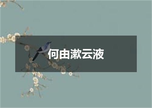何由漱云液