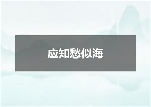 应知愁似海