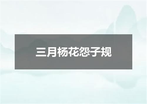 三月杨花怨子规