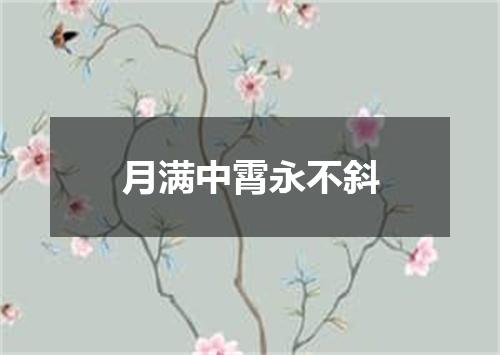 月满中霄永不斜