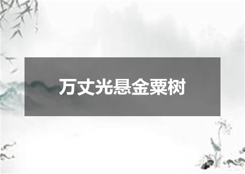万丈光悬金粟树