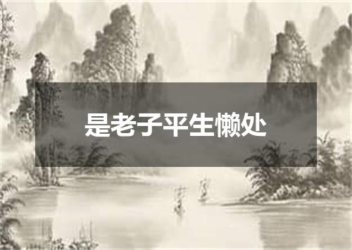 是老子平生懒处