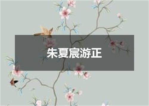 朱夏宸游正