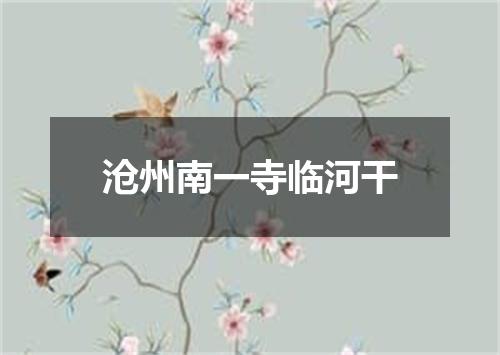 沧州南一寺临河干
