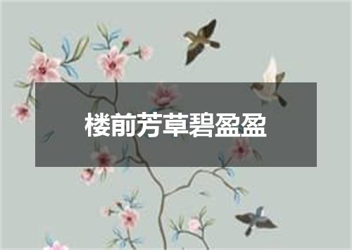 楼前芳草碧盈盈