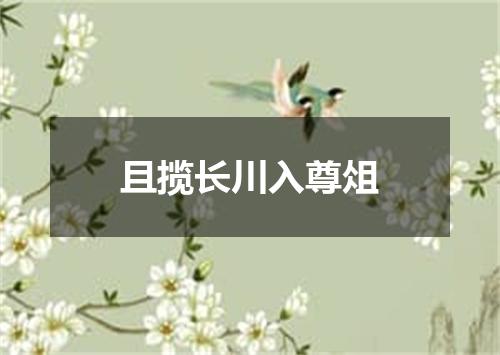 且揽长川入尊俎