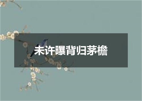 未许曝背归茅檐