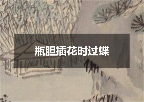 瓶胆插花时过蝶