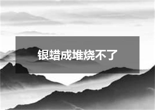银蜡成堆烧不了