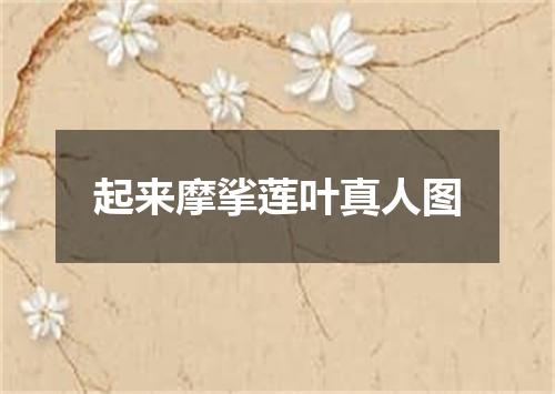 起来摩挲莲叶真人图