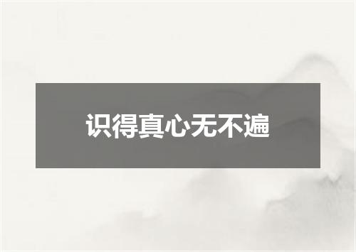 识得真心无不遍