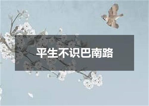 平生不识巴南路