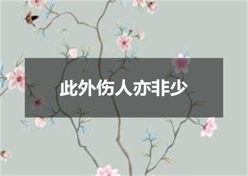 此外伤人亦非少