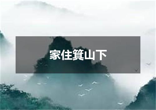 家住箕山下