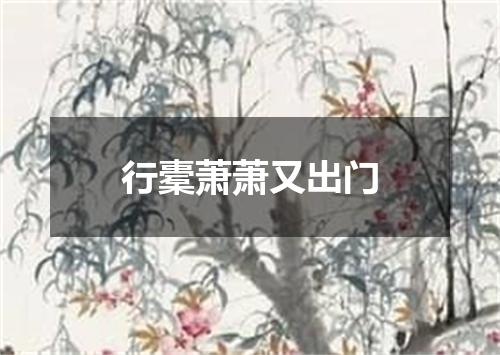 行橐萧萧又出门
