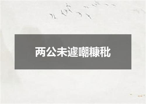 两公未遽嘲糠秕