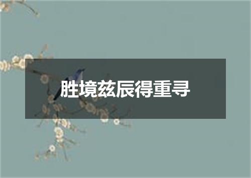 胜境兹辰得重寻