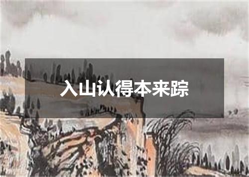 入山认得本来踪