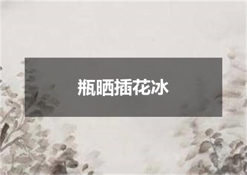 瓶晒插花冰