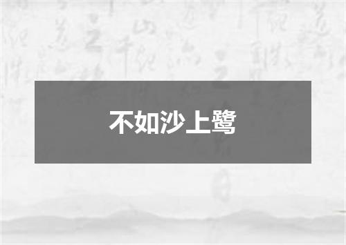 不如沙上鹭