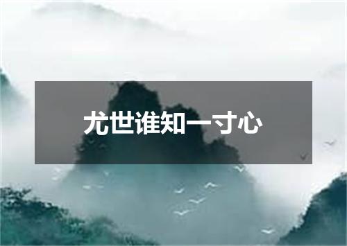 尤世谁知一寸心