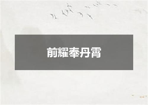 前耀奉丹霄