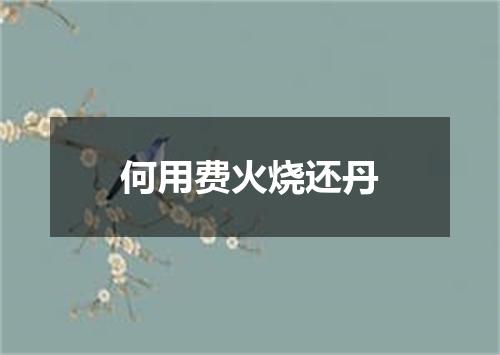 何用费火烧还丹