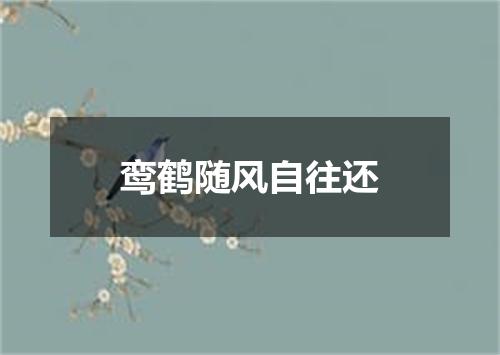 鸾鹤随风自往还