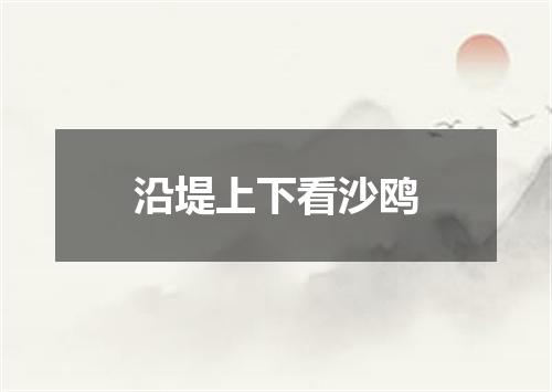 沿堤上下看沙鸥