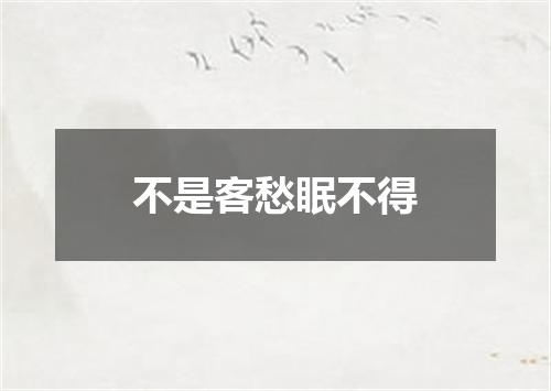 不是客愁眠不得