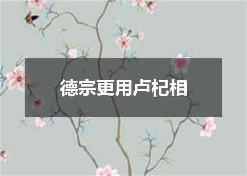 德宗更用卢杞相