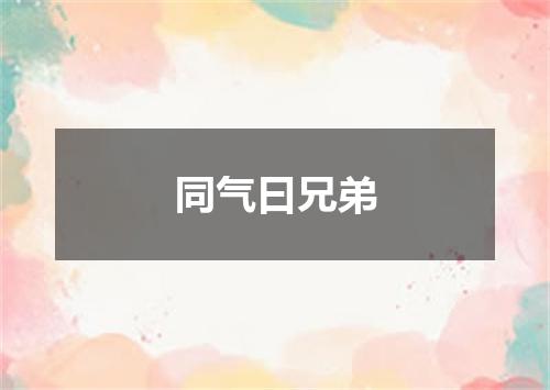 同气曰兄弟