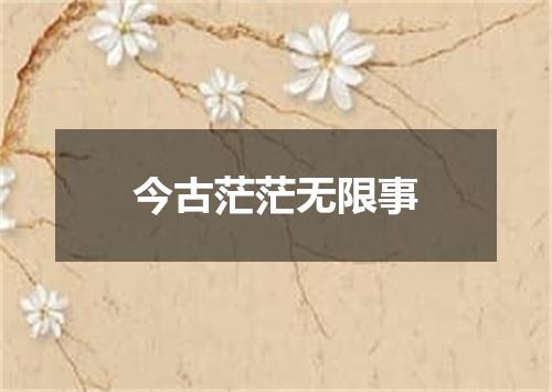 今古茫茫无限事