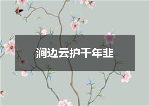 涧边云护千年韭