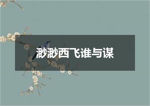 渺渺西飞谁与谋