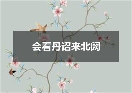 会看丹诏来北阙