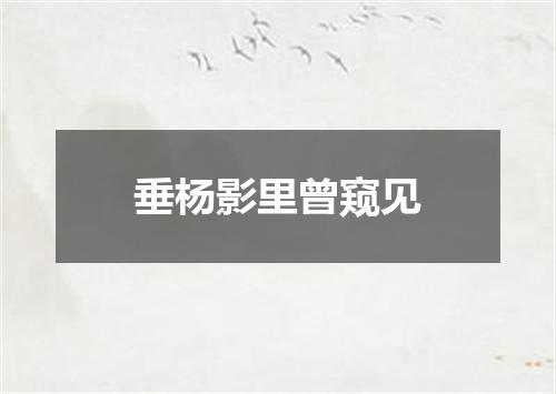 垂杨影里曾窥见