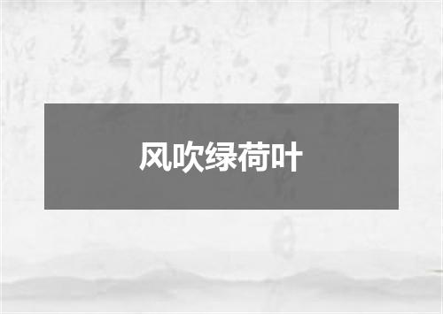 风吹绿荷叶