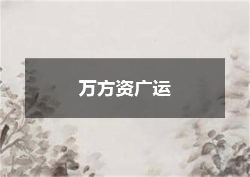 万方资广运