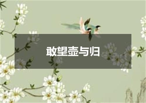 敢望壶与归