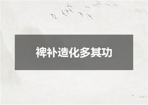裨补造化多其功