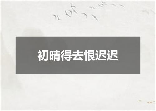 初晴得去恨迟迟