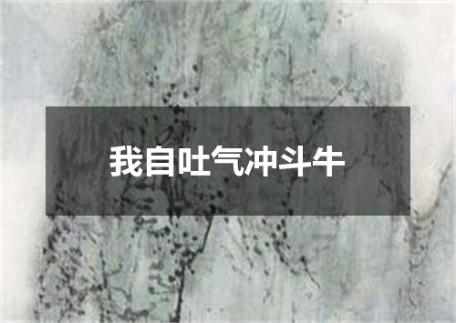 我自吐气冲斗牛