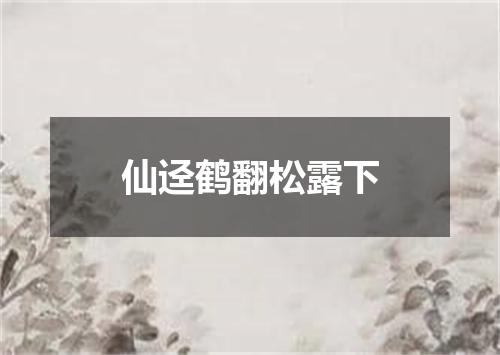 仙迳鹤翻松露下