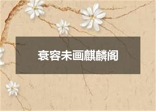 衰容未画麒麟阁