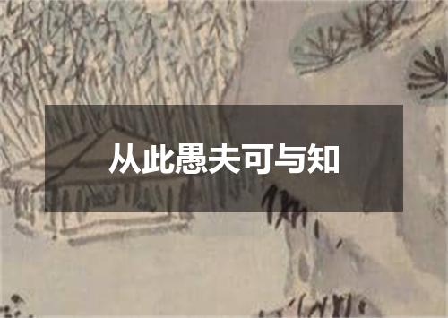 从此愚夫可与知