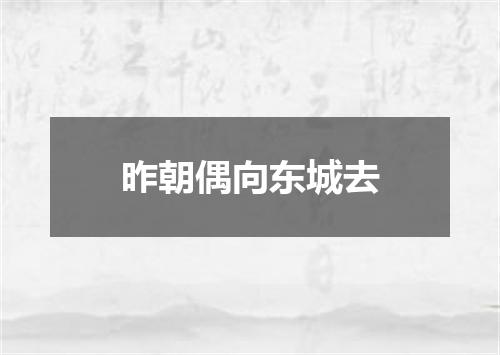 昨朝偶向东城去